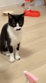 最悪な寝覚め…笑 日記