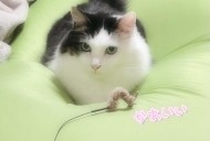 こんにちは 日記