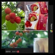 あかりさんのさくらんぼ🍒 日記