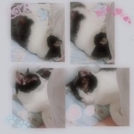 こんばんは 日記