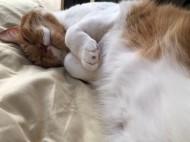 あと少し 日記