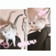 こんばんは♪ 日記