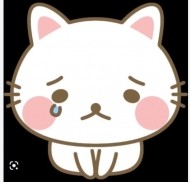 ごめんなさい。。 日記