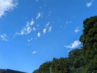 先日のネットニュースで、パトカー🚓に憧れて 日記