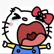 マハラジャのおにいさん🩷 日記