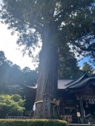 10月のお礼♡ 日記
