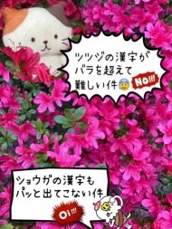 えみの元気日記(ゝ。∂))♪ 日記
