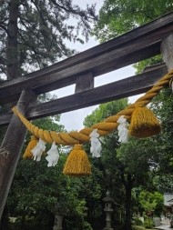 もに・・・ 日記