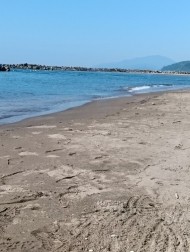 おはよう☀ 日記