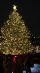 ∴∵∴ ୨୧ ∴∵∴ ୨୧ ∴∵∴ ୨୧ ∴∵∴ 日記