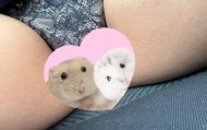 久々の出勤 日記