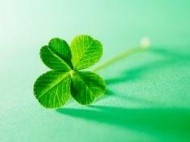 ?こんにちは? 日記