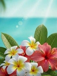 暑い日には癒しが必要でしょ♥️ 日記