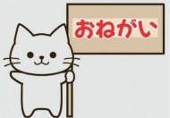 次回のご案内✨ 日記