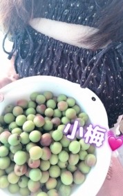梅雨入り前に? 日記