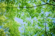 おはようございます 日記