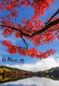 ななみ 日記