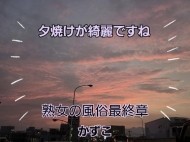 綺麗だった 日記