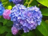 ?10日(火) のお礼? 日記