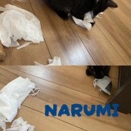 スミマセン🙇‍♀️ 日記