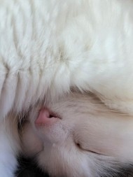お礼? 日記