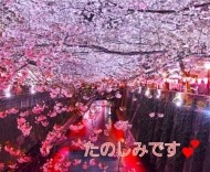 🌞おはようございます🤗🌞 日記