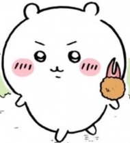 遅くなってごめんなさい 日記