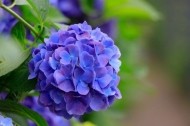 おはようございます٩( ᐛ )و 日記
