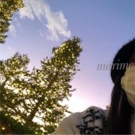 ぐでっと、 日記