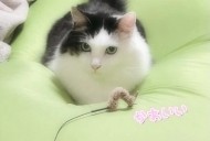 こんにちは 日記