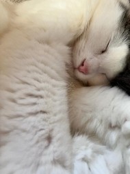 こんばんは 日記