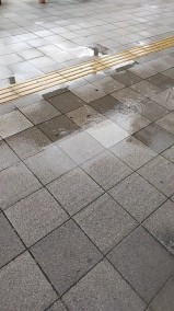 雨です☔ 日記