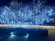 お礼と感謝 日記