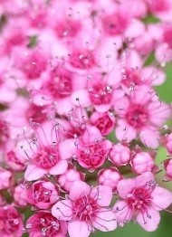 今日は甘えたい気分💗 日記