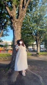 ダメって言ったのに 日記