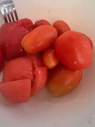 トマト🍅 日記