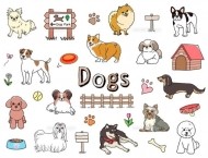 愛犬の日🐕‍🦺🐶🐕 ͗ ͗ 日記