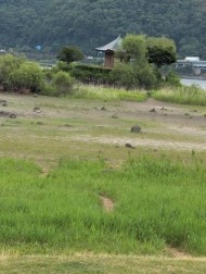 どうしても様子が見たかった場所に 日記