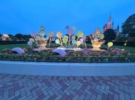 着いてるよー✨ 日記