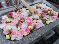 明けましておめでとうございます! 日記