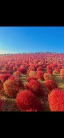 昨日は有難うございました😘 日記