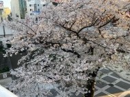 ありがとうございました 日記