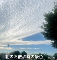 金・土・日の空き時間を💗 日記