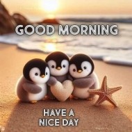 今日もおやすみします😥 日記