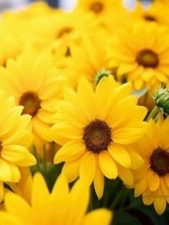 優しい方と素敵な時間を過ごせたら嬉しいです♥️ 日記