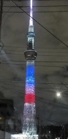 限定カラー🩷 日記