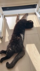おはようございます！！ 日記