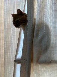 もうそんな⁉️ 日記