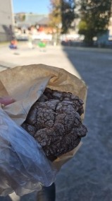 美味しい♡ 日記