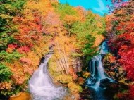 ななみ 日記